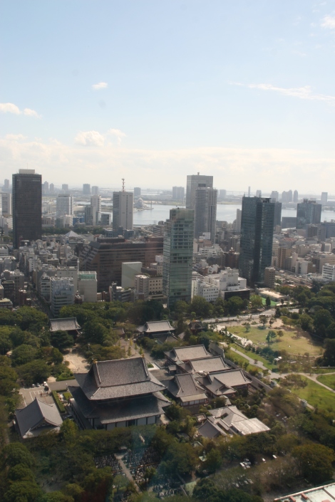 One view from the Tokyo Tower